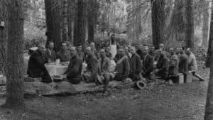 A group of people gathered around tables in a forest for a picnic.