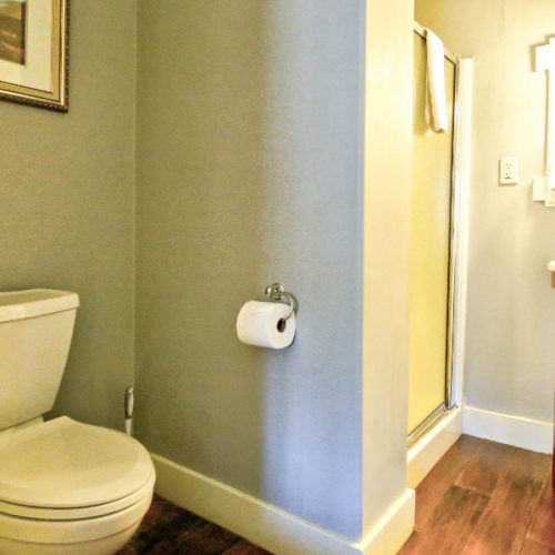 Soft green bathroom with white commode and stand up enclosed shower.